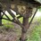 #1385-•-1974-gindy-semi-van-trailer-full-of-wood-image-37