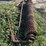 schmeiser-9.5'-ring-roller-image-4