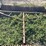 schmeiser-9.5'-ring-roller-image-2