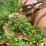 #1623-•-12'-plow-blade-image-5