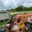 prentice-f90t-image-114