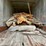 #1385-•-1974-gindy-semi-van-trailer-full-of-wood-image-10