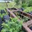 #1597-•-truck-frame-image-6