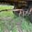 #1390-•-1986-dorsey-reffer-van-trailer-image-26