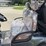 sdlanch-sdgc80-utility-vehicle-image-21