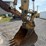 2015-caterpillar-316el-image-7