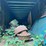 #1639-•-semi-trailer-with-contents-(no-title)-image-4