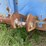 #1385-•-1974-gindy-semi-van-trailer-full-of-wood-image-47