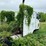 #1617-•-international-cab-over-semi-tractor-image-4