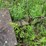 #1625-•-portable-log-cutter-image-10
