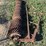 schmeiser-9.5'-ring-roller-image-6