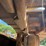caterpillar-322l-image-27