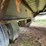 #1386-•-1994-44'-peerless-semi-van-trailer-image-28