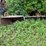 #1590-•-(4)-metal-tanks-and-scrap-iron-image-4