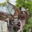 #1594-•-portable-precision-chipper-image-2