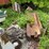 #1627-•-steel-platform-with-electric-motor-image-1