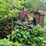 #1622-•-mack-engine-powering-portable-chipper-image-6
