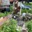 #1627-•-steel-platform-with-electric-motor-image-12