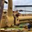 wabco-666-image-59