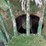 crisifulli-"style"-10"x20'-electric-ditch-pump-image-5