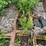 #1389-•-large-steel-pintle-hitch-trailer-with-broken-frame-(no-title)-image-9