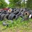 #1586-•-assortment-of-tires-and-rims-image-1