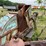 #1594-•-portable-precision-chipper-image-11