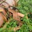 #1623-•-12'-plow-blade-image-9