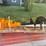 #17-•-future-cat-excavator-post-hole-digger-image-2
