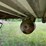 #1390-•-1986-dorsey-reffer-van-trailer-image-18