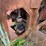 #1616-•-debarking-machine-for-scrap-image-6