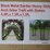 metal-garden-hd-arch-trellis-image-5
