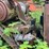#1622-•-mack-engine-powering-portable-chipper-image-8
