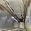 #1386-•-1994-44'-peerless-semi-van-trailer-image-14