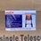 13-step-single-side-telescoping-ladder-image-2