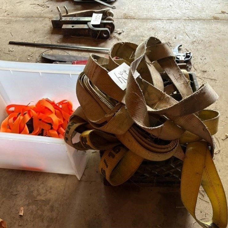 Large lot of Ratchet Straps