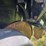 details-coming-soon-image-28