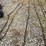 15-foot-log-chain-image-1