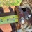 strickland-u1373-42”-excavator-cleanout-bucket-image-19