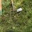 pitch-forks-image-2
