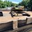 1993-kenworth-w900-image-53