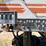 2011-wirtgen-w200-image-98