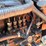 bobcat-753-image-10