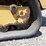 2017-caterpillar-239d-image-10