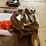 large-lot-of-ratchet-straps-image-2