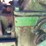 john-deere-b-image-34