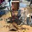 misc-yard-décor,-watering-can-etc-image-5