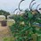 16-row-jd-row-crop-cultivator-image-10
