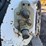 bobcat-t590-image-11