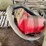 lawn-vac-image-4